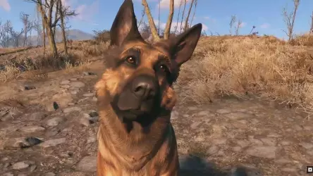 Тодд Говард из Bethesda: Мы работаем над новыми проектами по Fallout, о которых пока не объявляли, но их время придёт