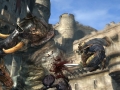 DragonsDogmaOnline-16.jpg