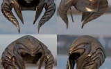 helmet_sample